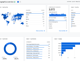 Google Report Image